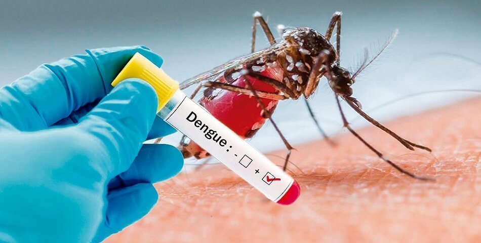 Dengue Out Break In Pakistan