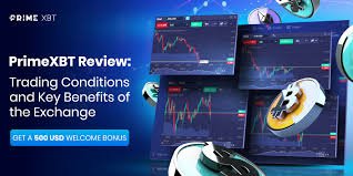 The Future of Trading with App PrimeXBT The Future of Trading with App PrimeXBT